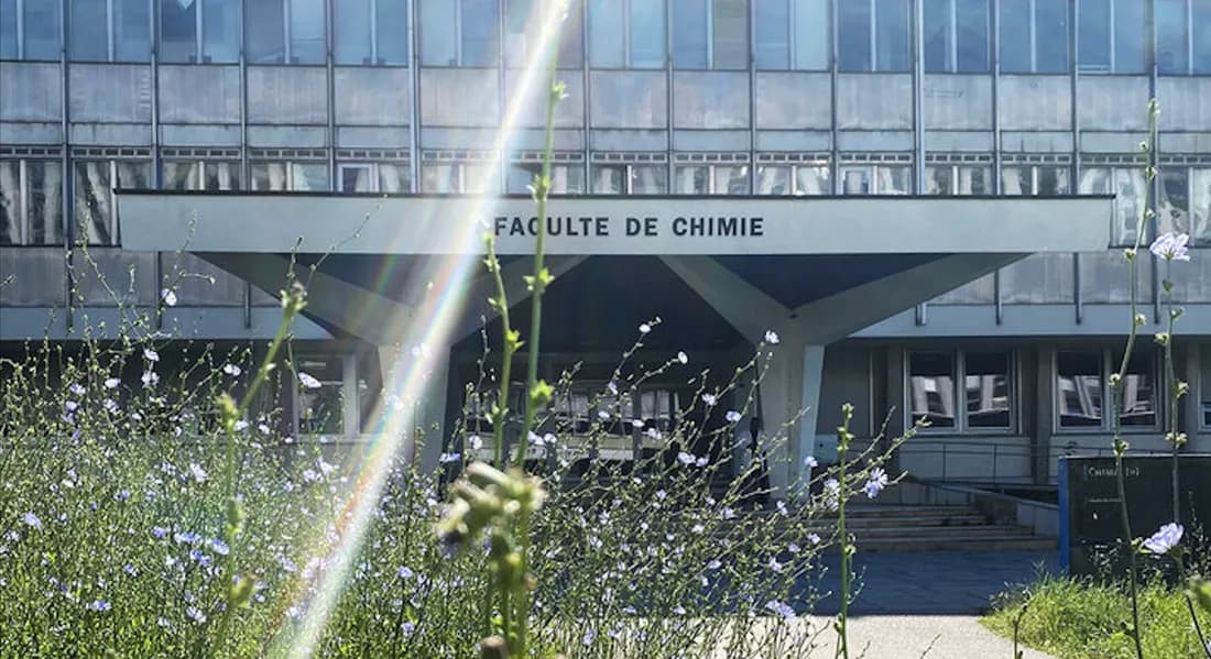 Les meilleures facultés de Strasbourg en 2026 : le classement complet par discipline
